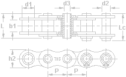 BS/DIN and ANSI standard short pitch hollow pin chain