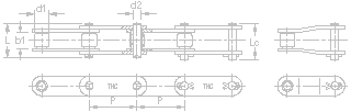 BS/DIN Standard Double Pitch Stainless Steel Conveyor Roller Chains (Standard Roller Type)